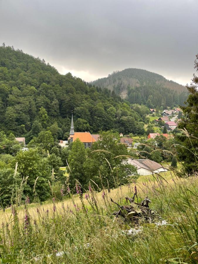 Gemuetliches Apartment Mit Kamin Und Wohnkueche Herzberg am Harz Dış mekan fotoğraf