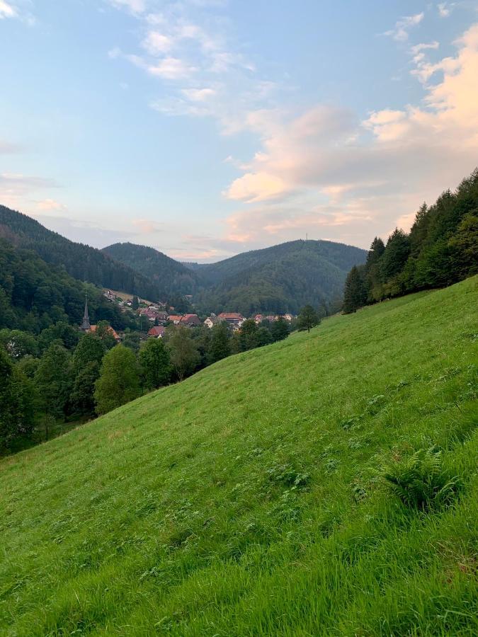 Gemuetliches Apartment Mit Kamin Und Wohnkueche Herzberg am Harz Dış mekan fotoğraf